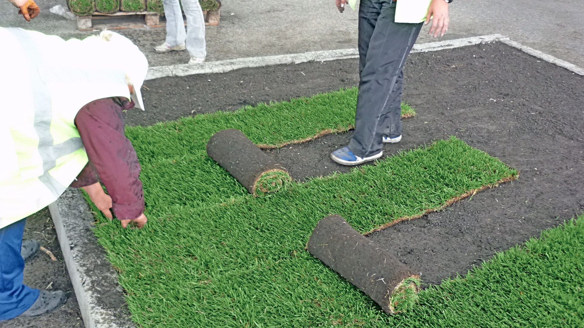 Газонная трава на кладбище фото