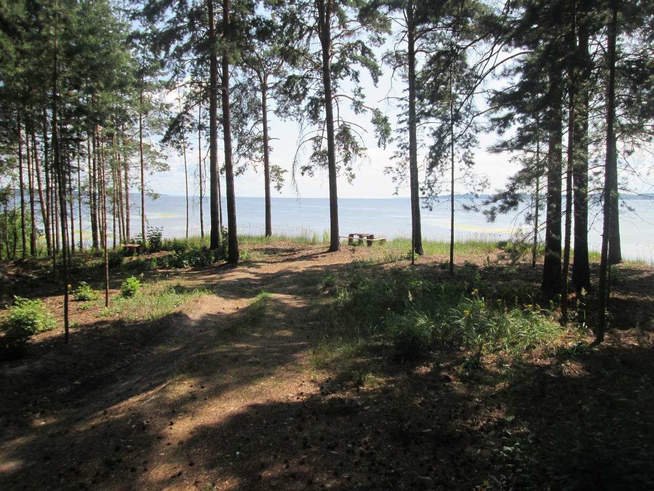 Купить Участок Юрково Сокольский Район Нижегородская Область