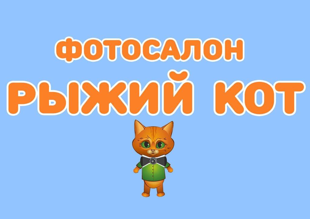 Рыжий кот интернет магазин