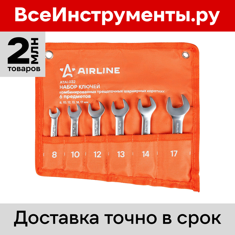 Набор ключей комбинир.трещот. 10 предм. (8,10,12,13,14,15,17,19,22,24мм) пласт.держат. ()