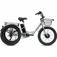 Электровелосипед Sitis Cargo рикша 24" (2024) трехколесный, 350 Вт, взрослый, мужской, стальная рама,7 скоростей, дисков