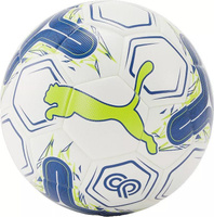 Футбольный мяч Puma Christian Pulisic CP10, мультиколор