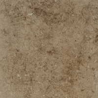 Клинкерная плитка Керамин Вермонт 3 бежевая 298х298х8 мм (15 шт.=1,33 кв.м)