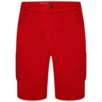 Мужские прогулочные шорты Tuned In II - красные DARE 2B, цвет rot