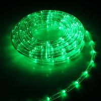 Световой шнур luazon lighting 10 мм, ip65, 5 м, 24 led/м, 220 в, 8 режимов, свечение зеленое Luazon Lighting