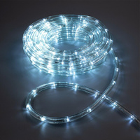 Световой шнур luazon lighting 10 мм, ip65, 10 м, 24 led/м, 220 в, 8 режимов, свечение белое Luazon Lighting