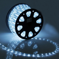 Световой шнур luazon lighting 11 мм, ip65, 100 м, 24 led/м, 220 в, 2w, постоянное свечение, свечение белое Luazon Lighti