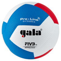 Мяч волейбольный GALA Pro-Line 12 FIVB, BV5595S, размер 5